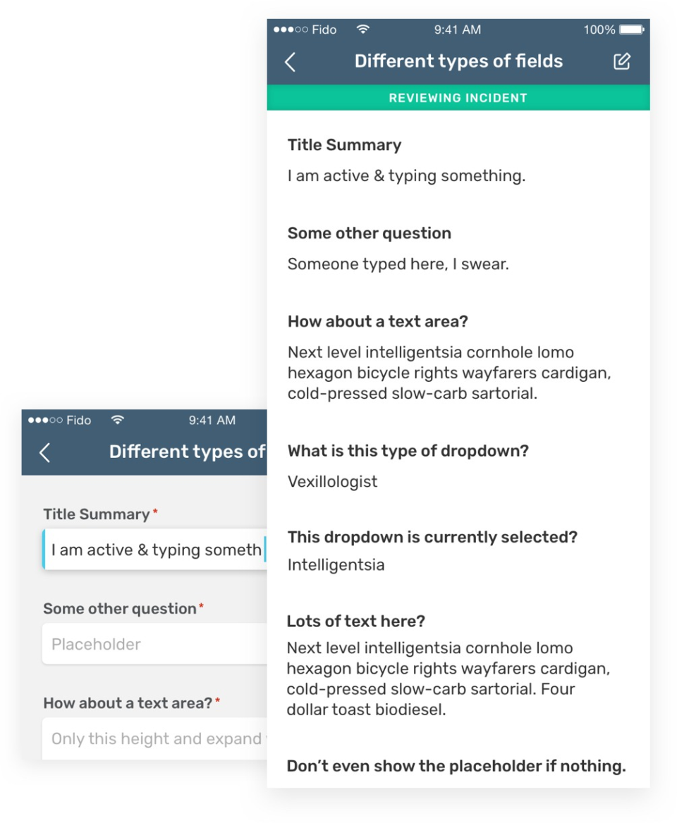 screenshot of 1st Reporting